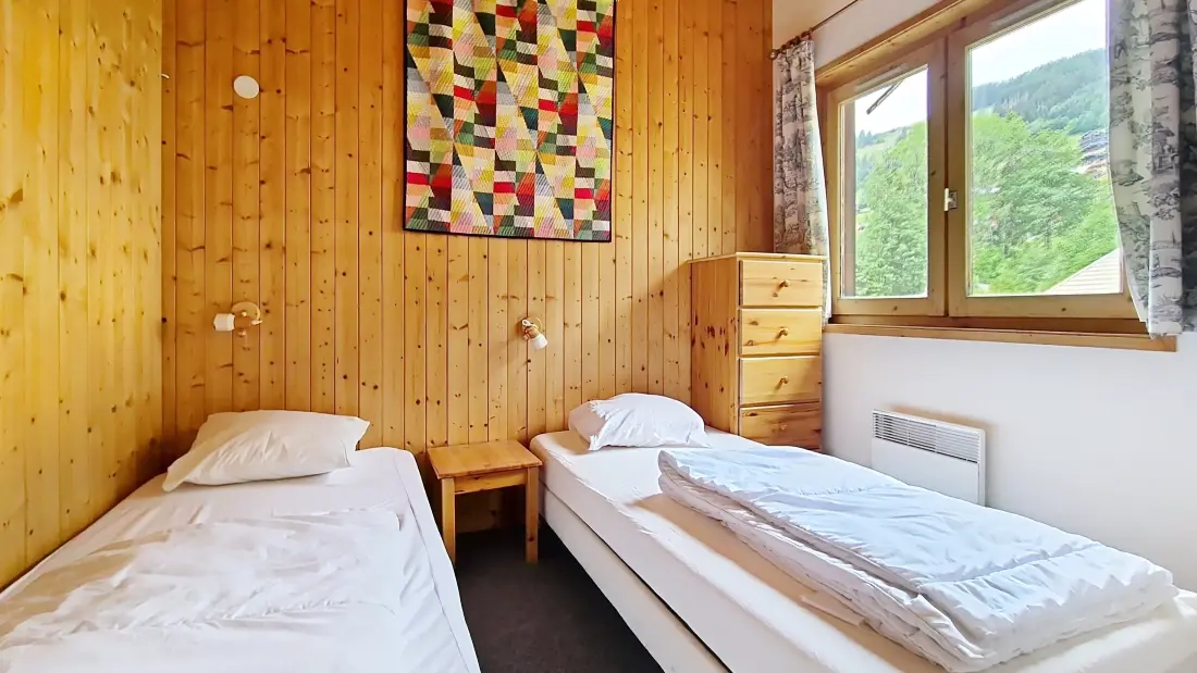 Appartements à Châtel