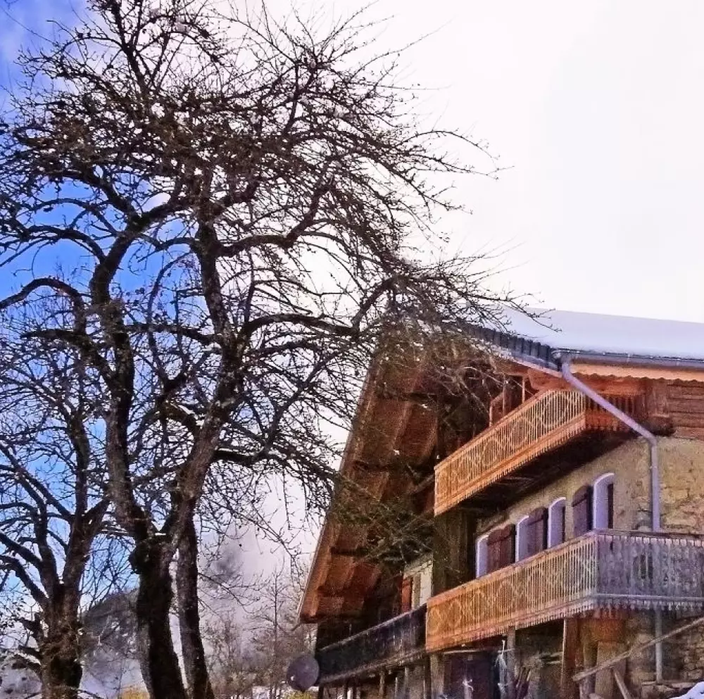 Chalet Petit Châtel