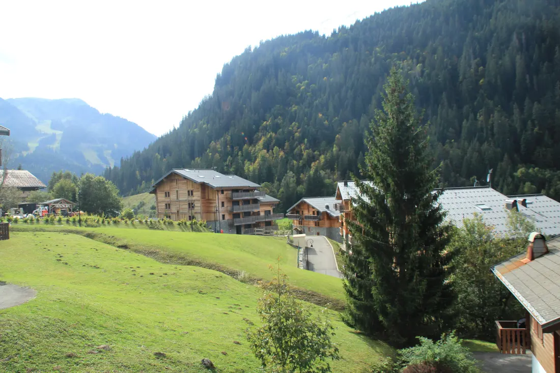 Chalets à Châtel