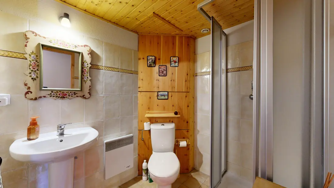 Chalets à Châtel