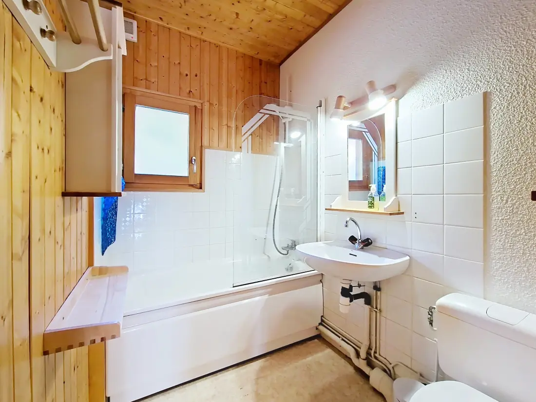 Chalets à Châtel