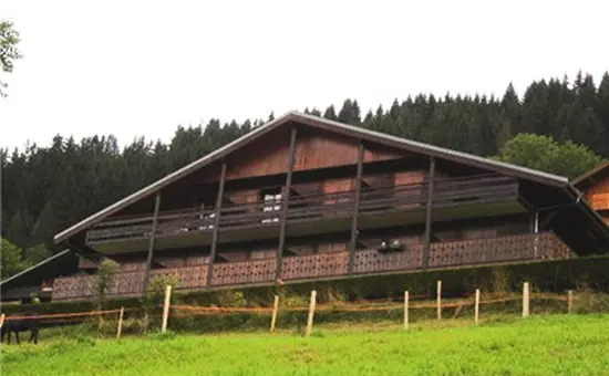 Les Résidences de Châtel Centre