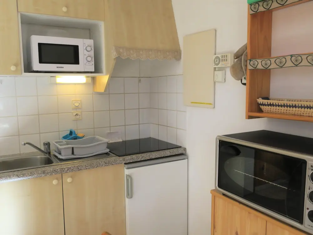 Location de Vacances Châtel 113