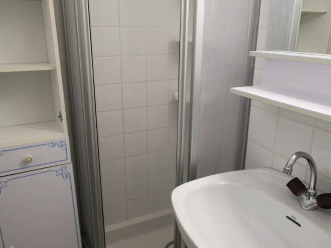 Location de Vacances Châtel 113
