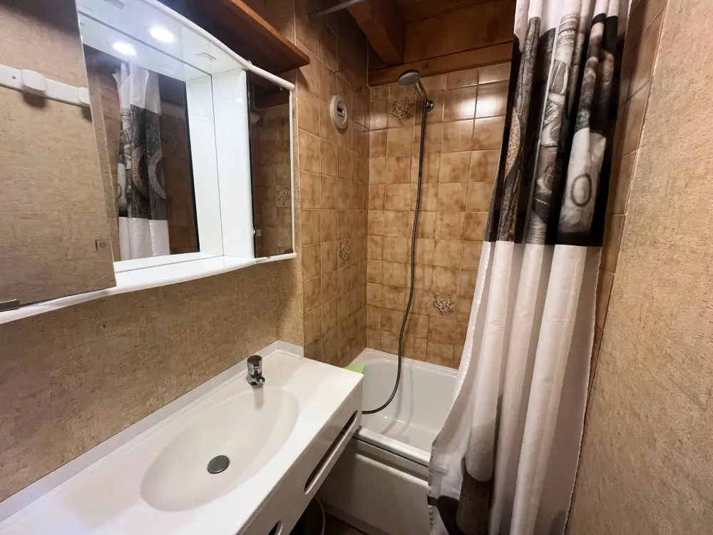 Location de Vacances Châtel 119