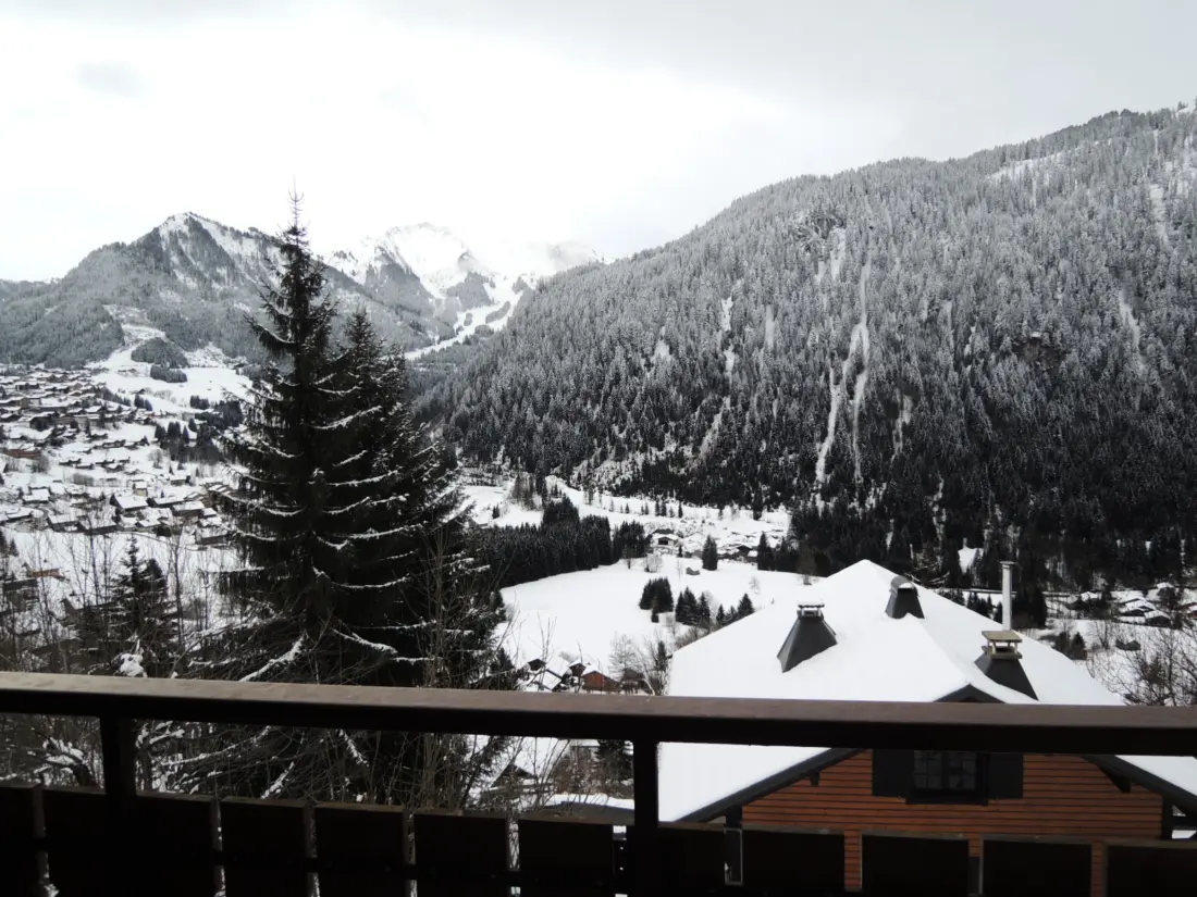 Location de Vacances Châtel 132