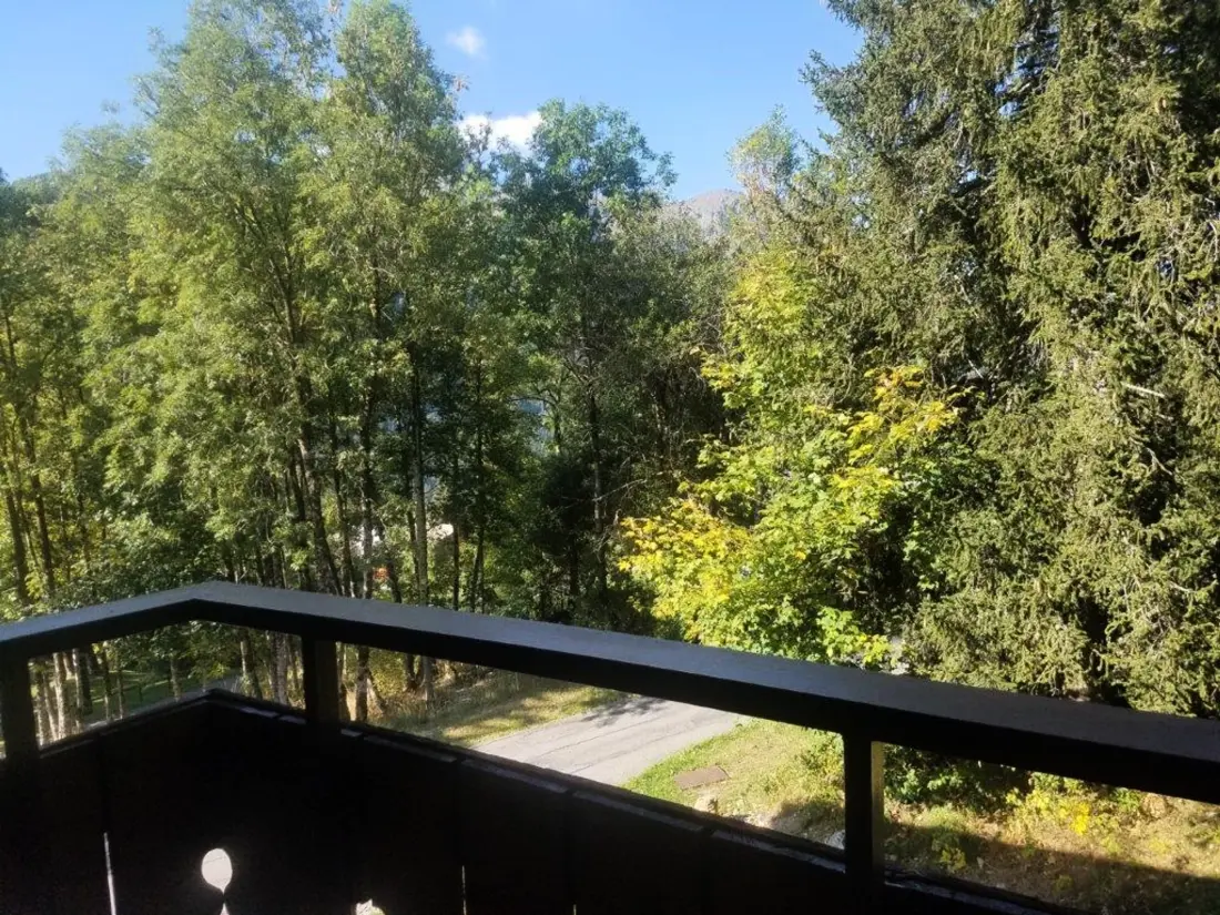 Location de Vacances Châtel 142