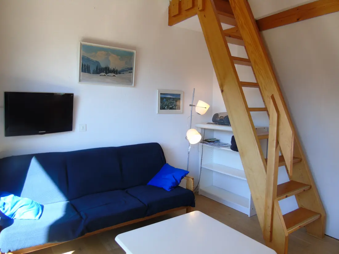 Location de Vacances Châtel 156