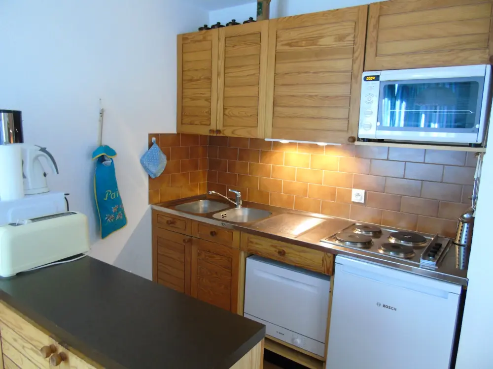 Location de Vacances Châtel 156