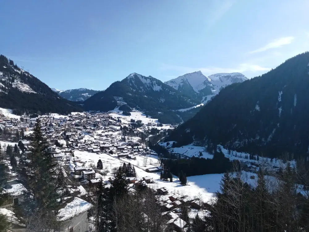 Location de Vacances Châtel 196