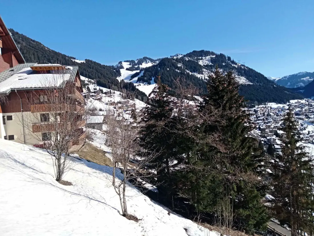 Location de Vacances Châtel 196