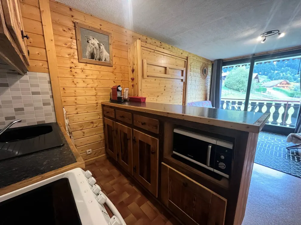 Location de Vacances Châtel 206