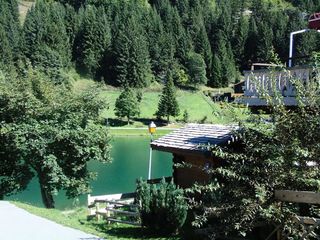 Location de Vacances Châtel 210