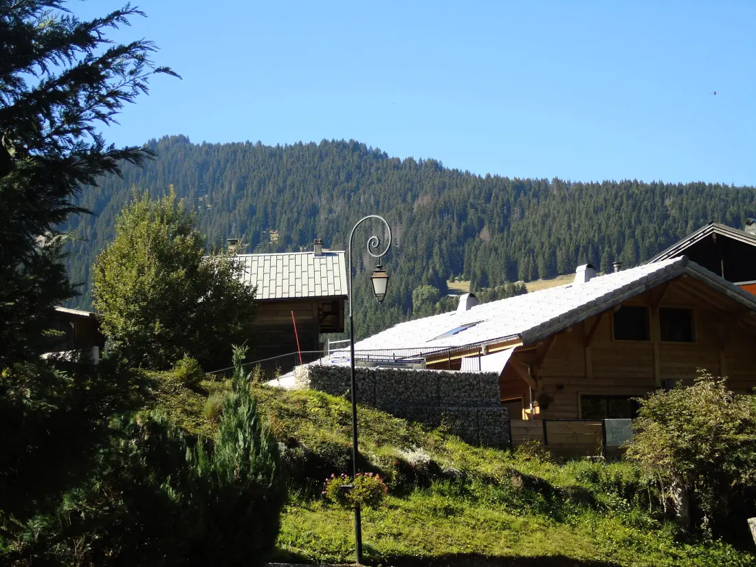 Location de Vacances Châtel 210