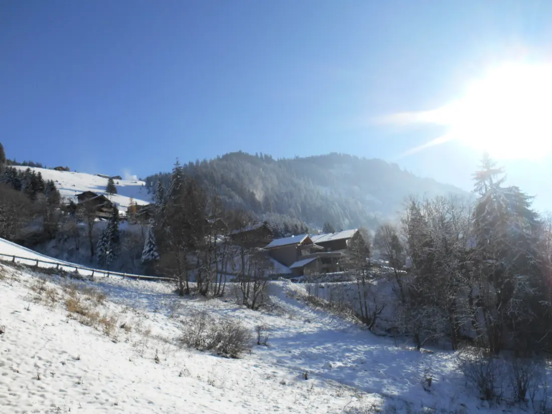 Location de Vacances Châtel 230
