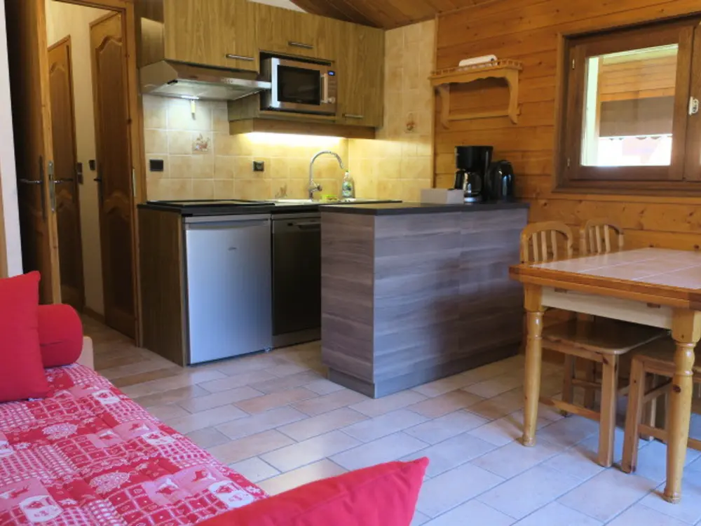 Location de Vacances Châtel 257