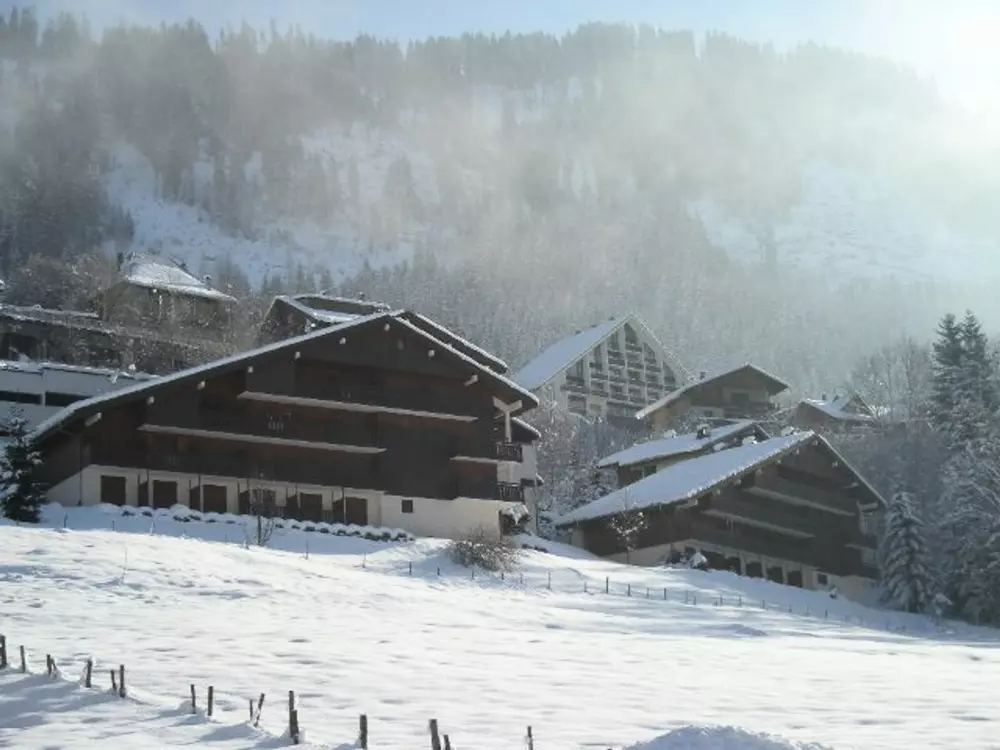 Location de Vacances Châtel 260