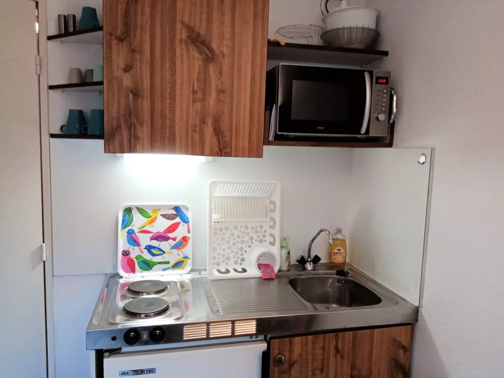 Location de Vacances Châtel 260