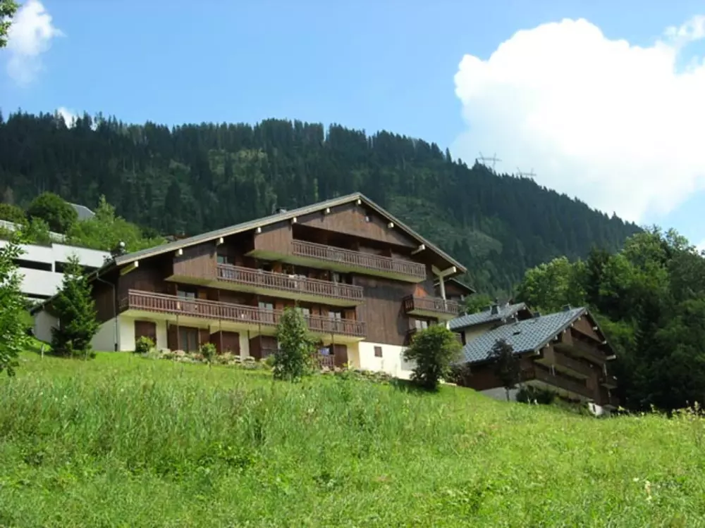 Location de Vacances Châtel 260