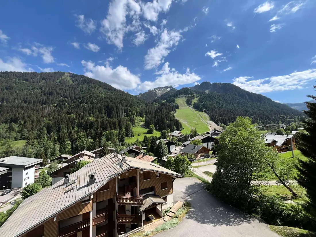 Location de Vacances Châtel 266