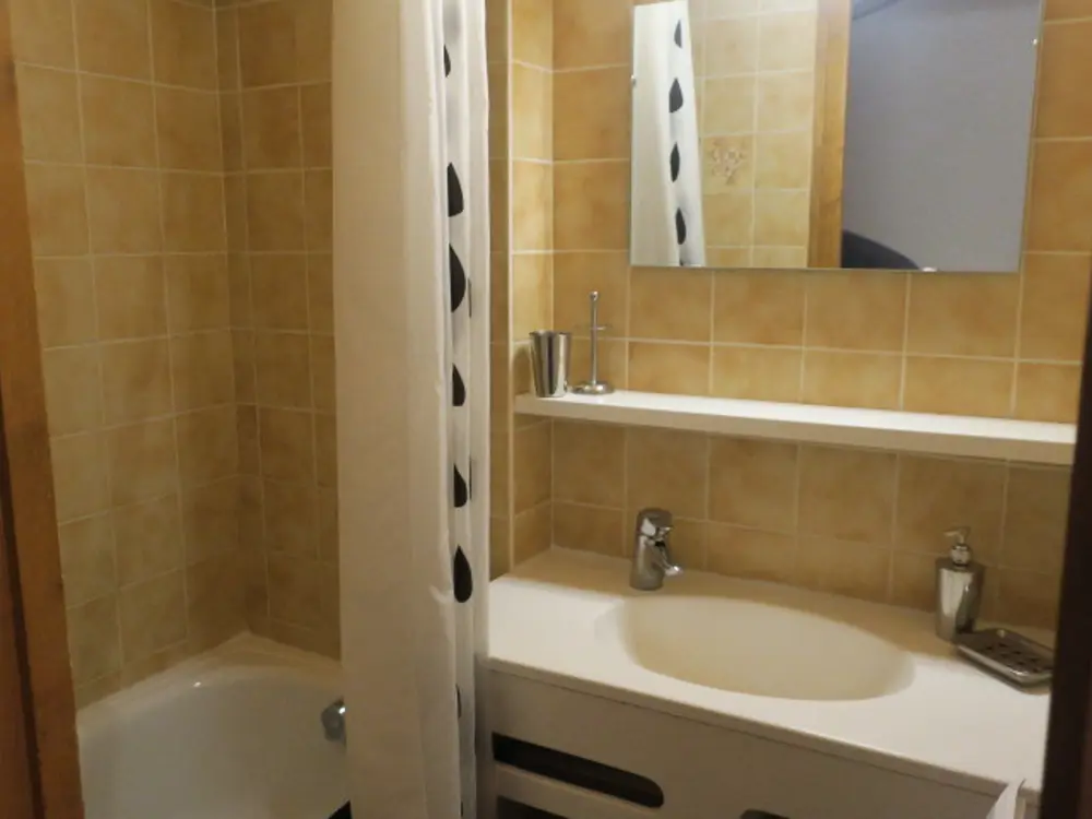 Location de Vacances Châtel 266