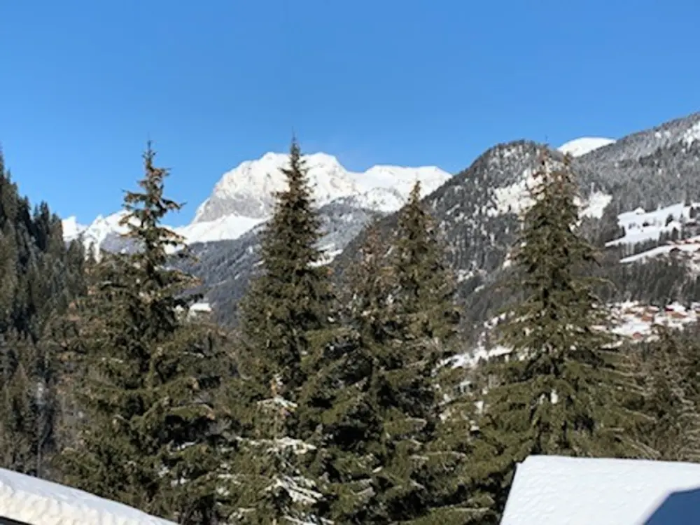 Location de Vacances Châtel 291