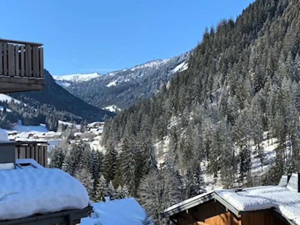 Location de Vacances Châtel 291