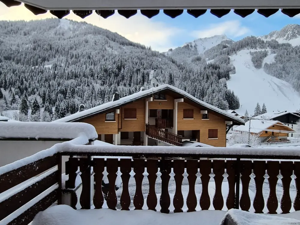 Location de Vacances Châtel 323