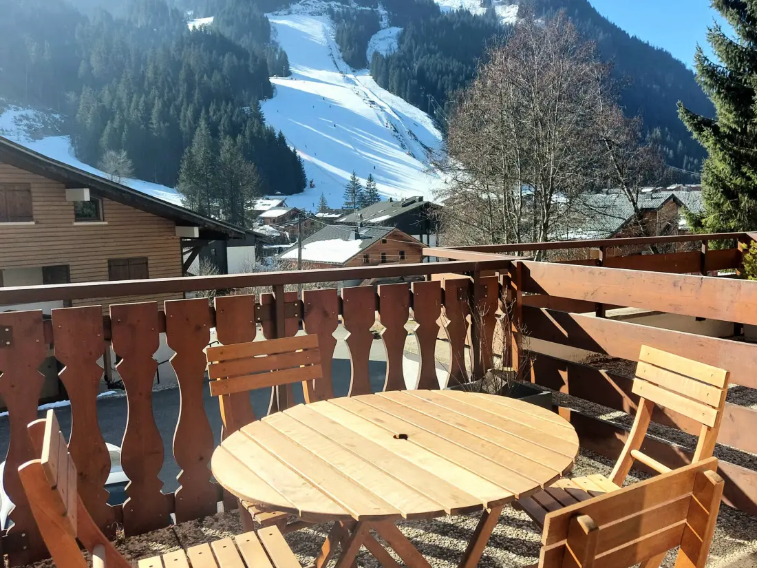 Location de Vacances Châtel 324