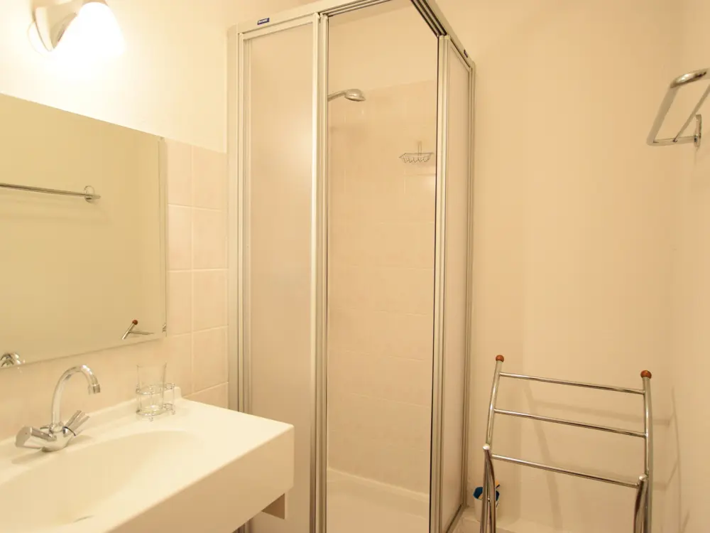 Location de Vacances Châtel 343