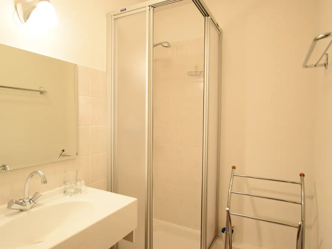 Location de Vacances Châtel 343