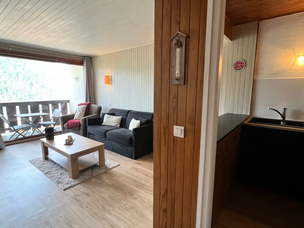 Location de Vacances Châtel 344