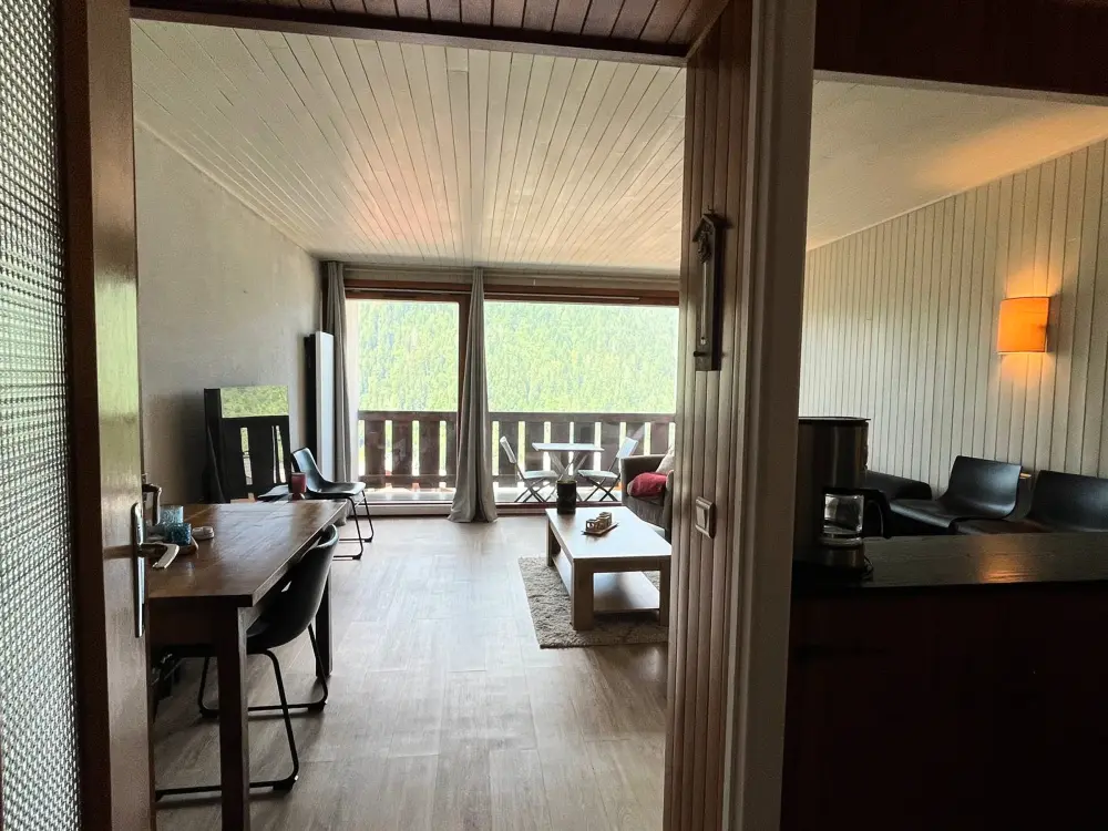 Location de Vacances Châtel 344