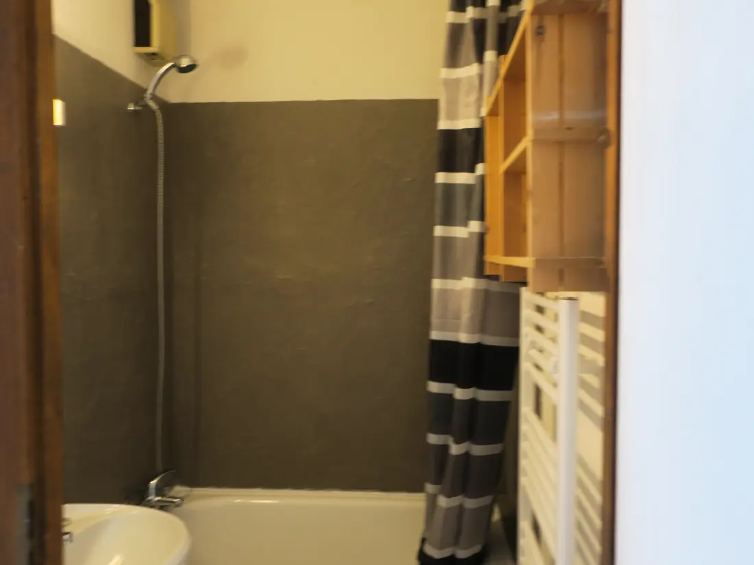 Location de Vacances Châtel 348