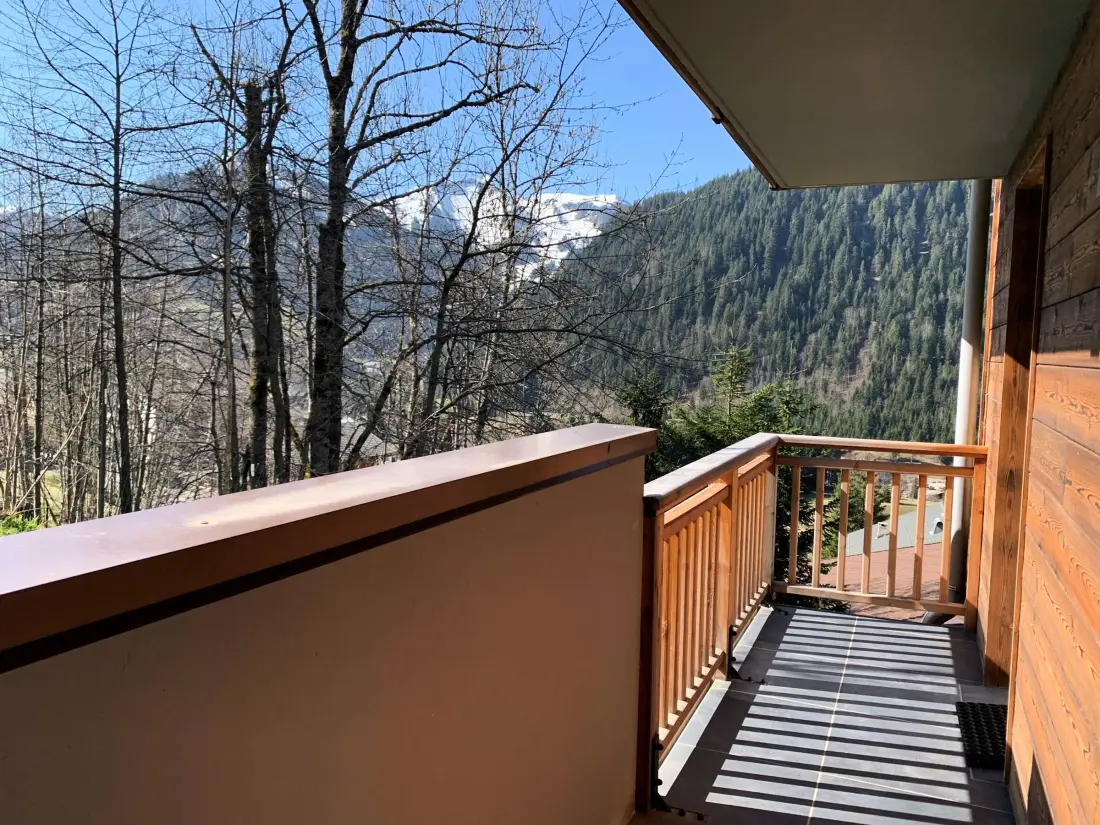 Location de Vacances Châtel 351