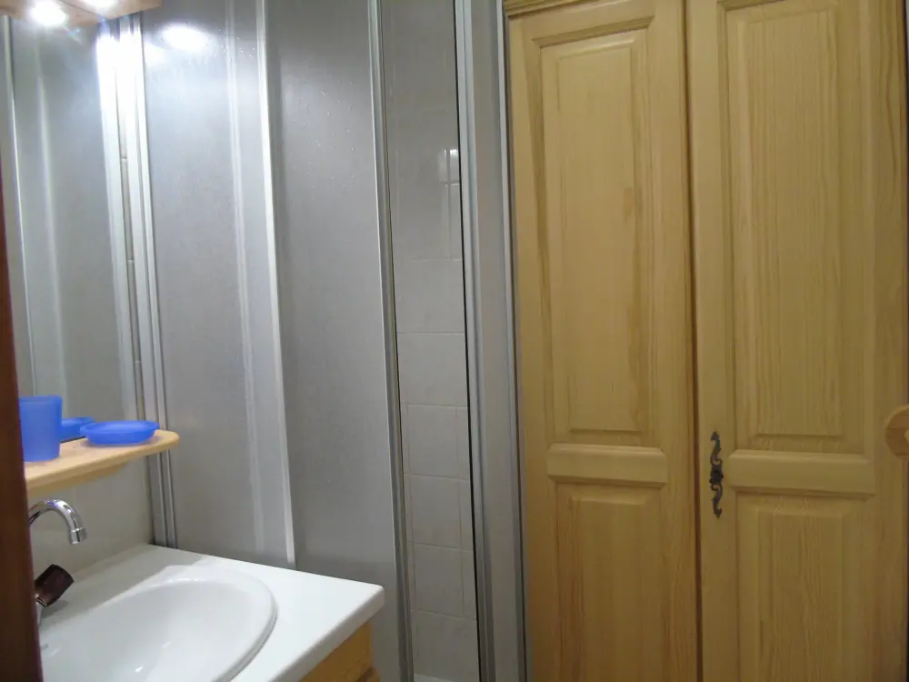Location de Vacances Châtel 377