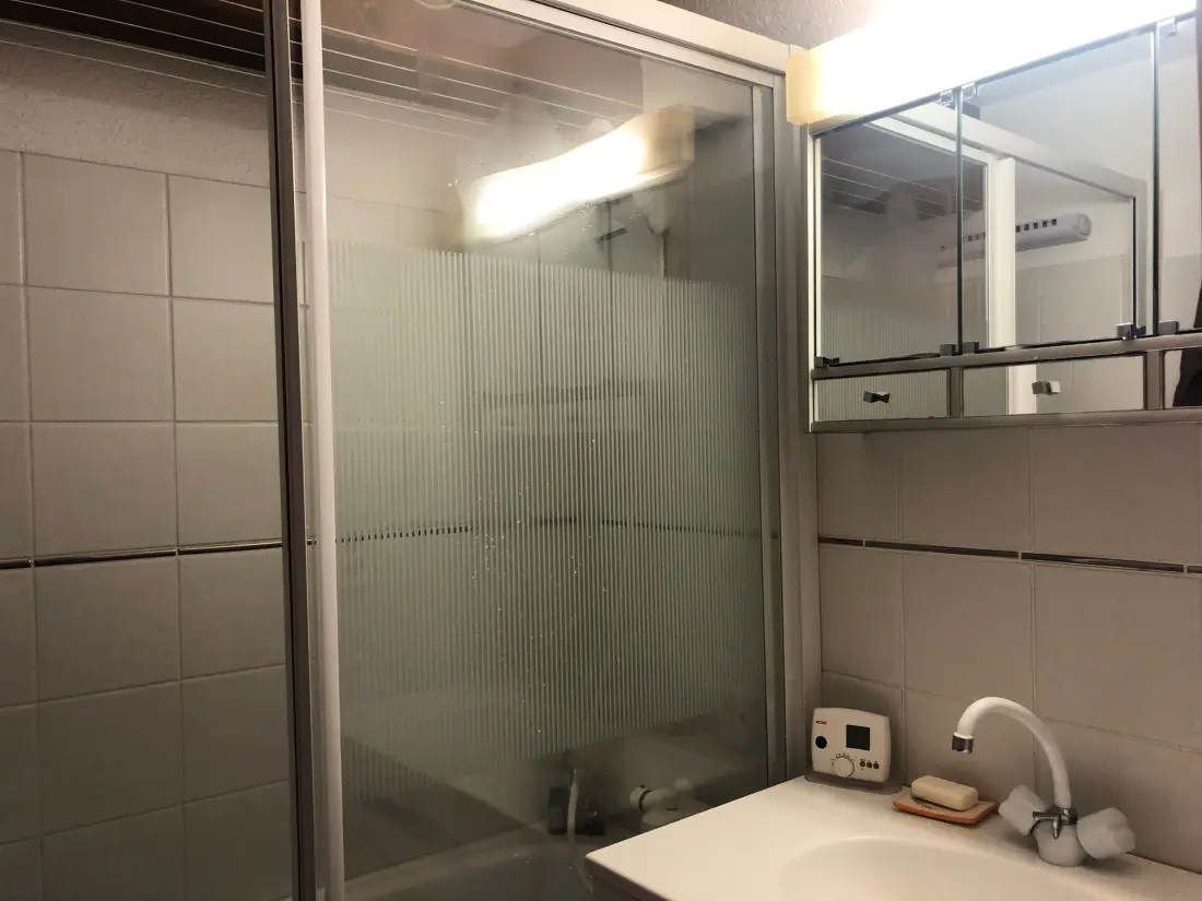 Location de Vacances Châtel 389