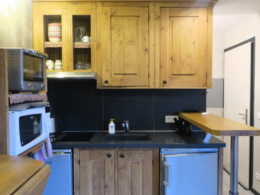 Location de Vacances Châtel 390