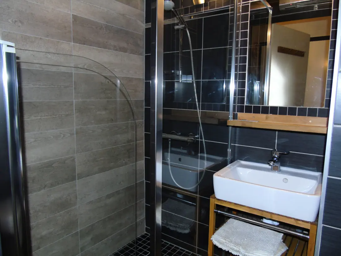 Location de Vacances Châtel 390
