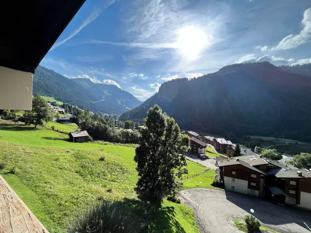 Location de Vacances Châtel 394