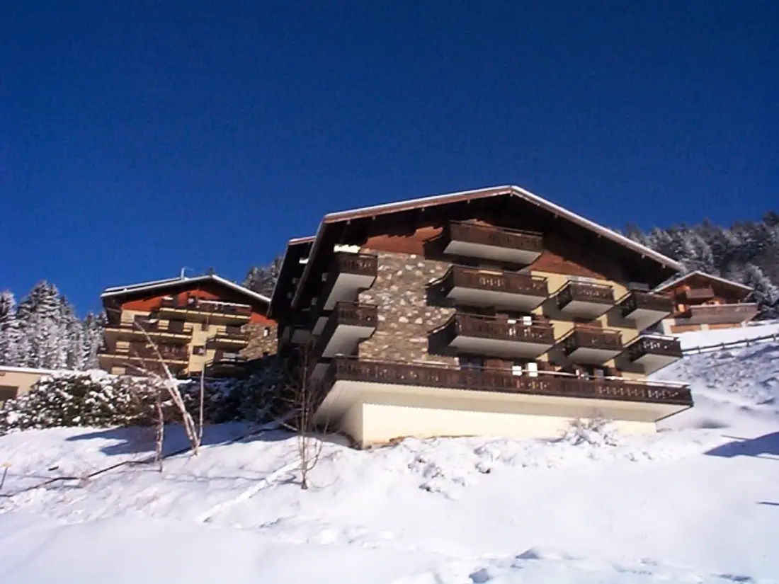 Location de Vacances Châtel 407
