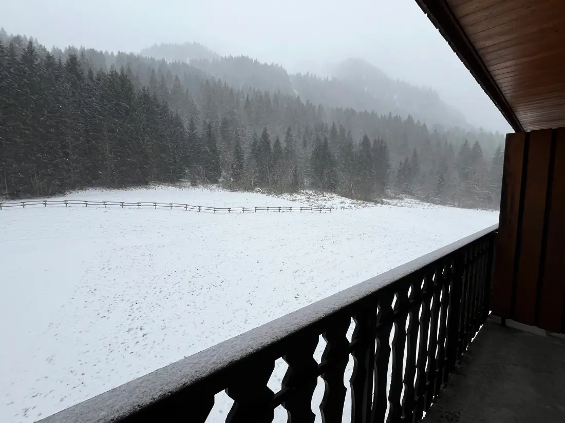 Location de Vacances Châtel 409