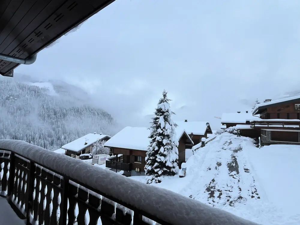 Location de Vacances Châtel 412