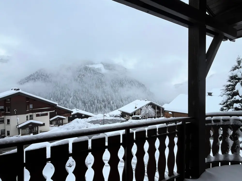 Location de Vacances Châtel 412