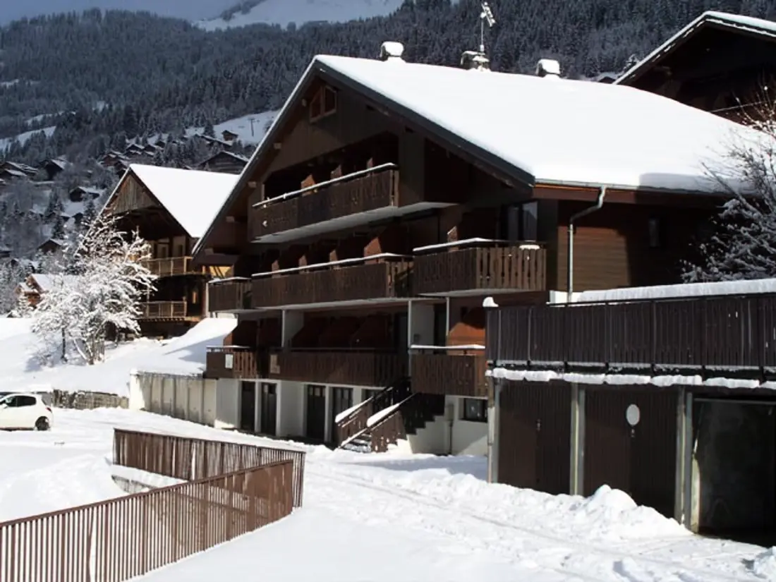 Location de Vacances Châtel 419