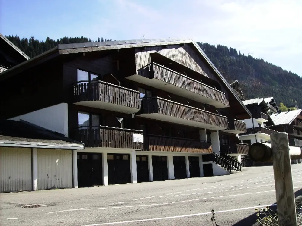 Location de Vacances Châtel 419
