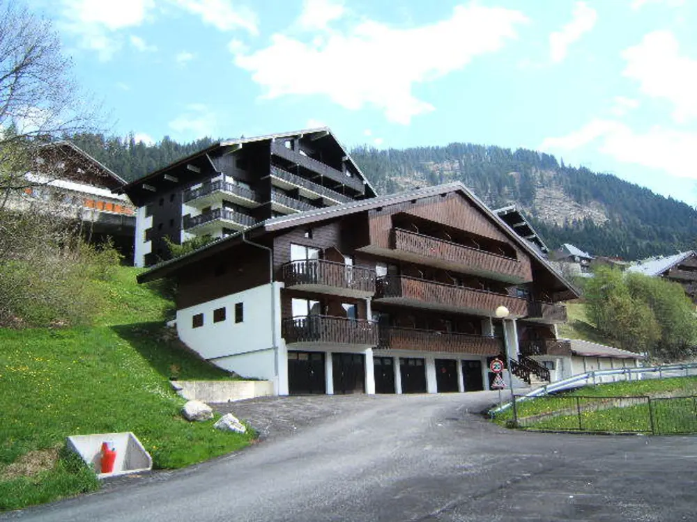 Location de Vacances Châtel 419