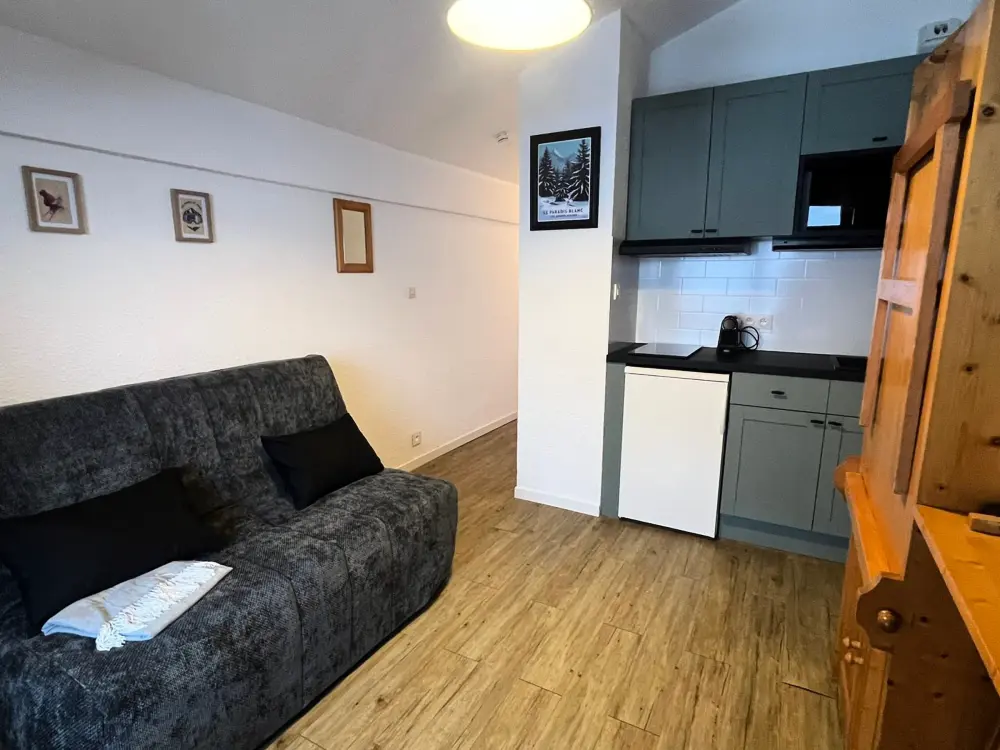 Location de Vacances Châtel 419