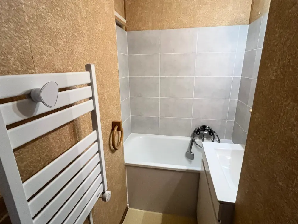 Location de Vacances Châtel 419
