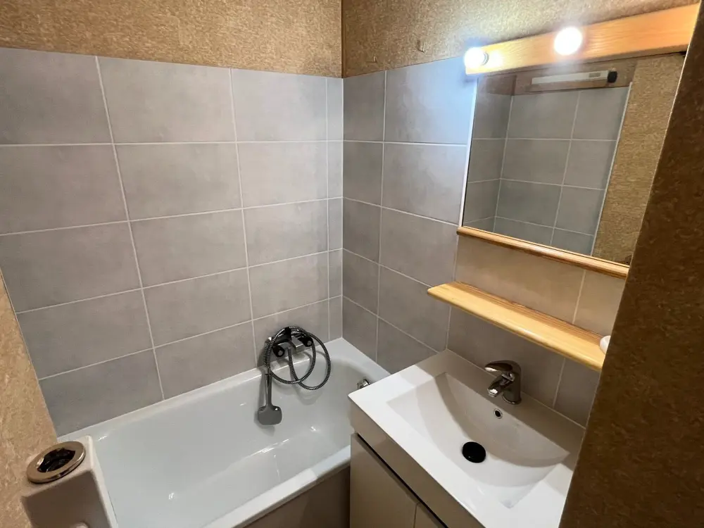 Location de Vacances Châtel 419